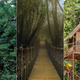 Illustration for article titled 13 Ingenious Treehouses That Go Out on a Limb